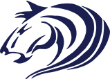 Tatabánya Mustangs American Football Team